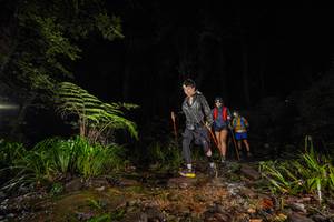 BIB: 
                            <button type="button" onclick="openModal(19246871)" class="btn btn-primary btn-sm float-right btn-popup" data-toggle="modal" data-target=".modal-high-quality">
                        <i class="fas fa-shopping-cart"></i> Add to Cart
                    </button>
                                            <button type="button" onclick="isThisMe(19246871, true)" class="btn btn-success btn-sm float-right btn-popup btn-isme hidden" data-toggle="tooltip" data-placement="bottom" title="นี่คือรูปของคุณใช่ไหม คลิกที่นี่เพื่อเอาเข้าอัลบั้ม">
                        <i class="fas fa-plus"></i> Add to album
                    </button>
                    <button type="button" onclick="isThisMe(19246871, false)" class="btn btn-warning btn-sm float-right btn-popup btn-isnotme hidden">
                        <i class="fas fa-ban"></i> Remove from album
                    </button>